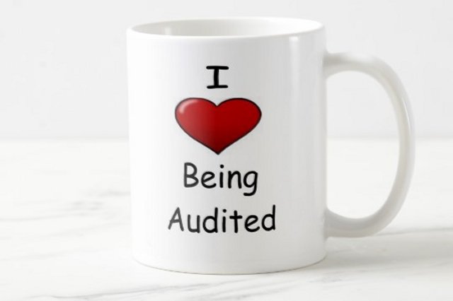 The Audit Culture